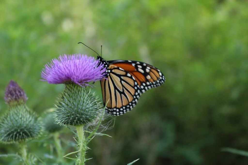 The Worst Day To Try Chi&nbsp;Tea…