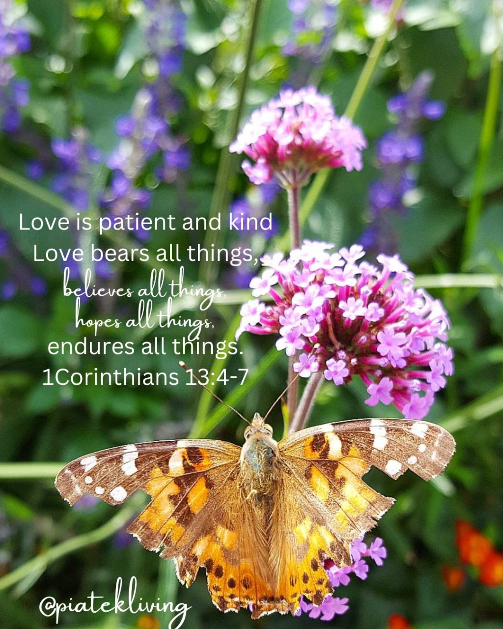 Love is Patient and&nbsp;Kind